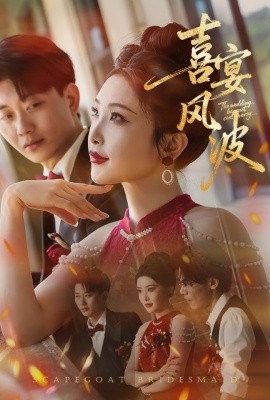 喜宴风波替罪伴娘海报