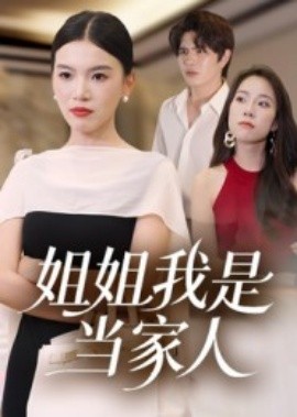 姐姐我是当家人海报