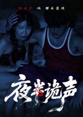 夜半诡声海报