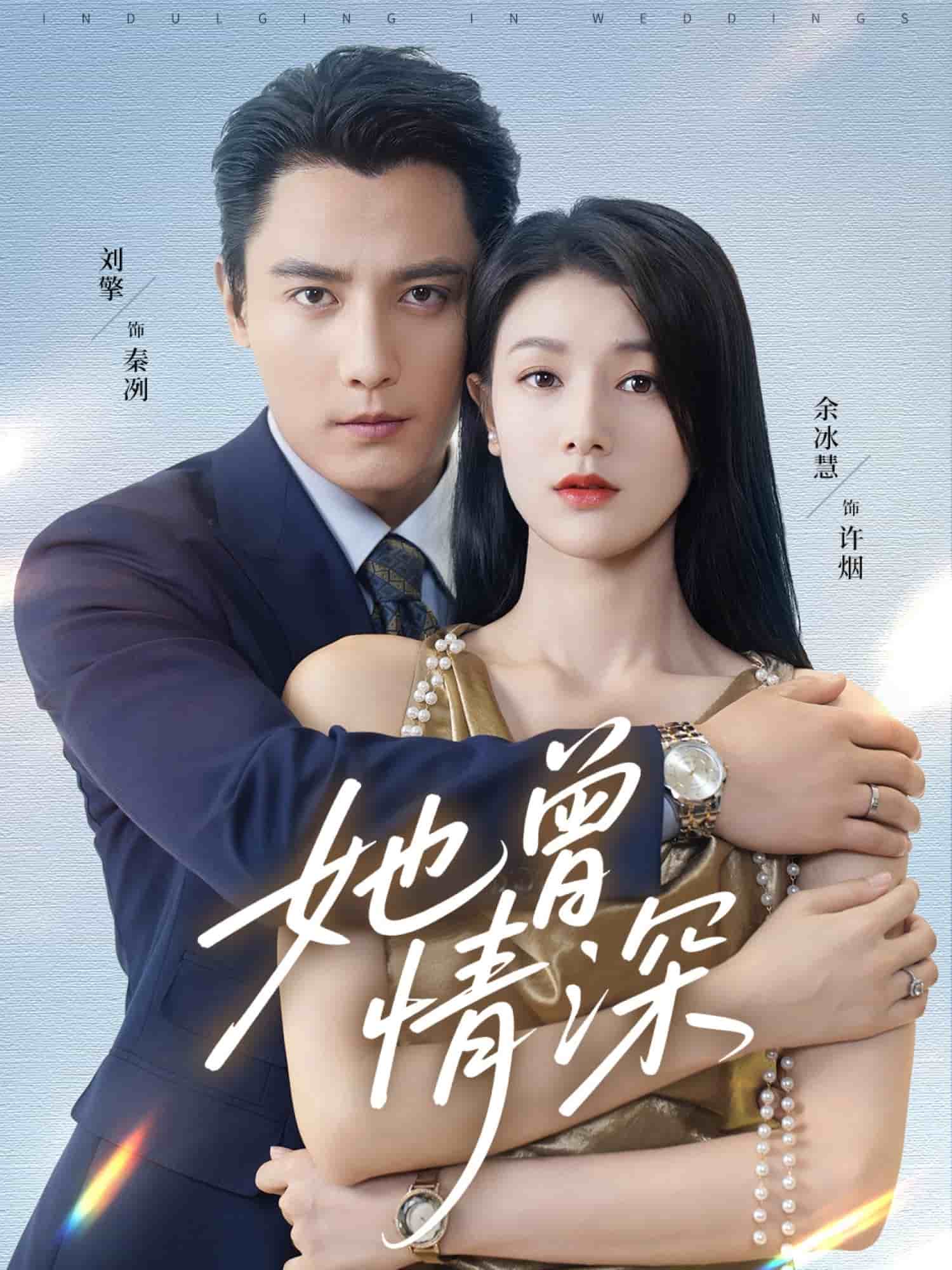 她曾情深海报