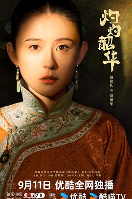 灼灼韶华海报