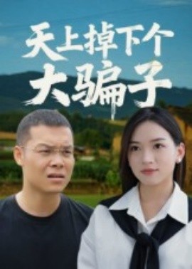 天上掉下个大骗子海报