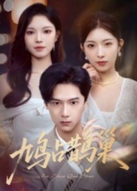 鸠占鹊巢顶流夫人的致命陷阱海报