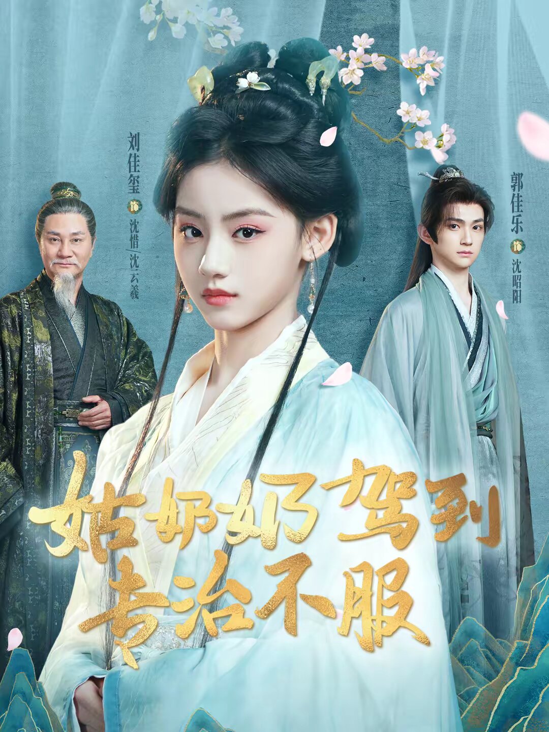 姑奶奶驾到专治不服海报