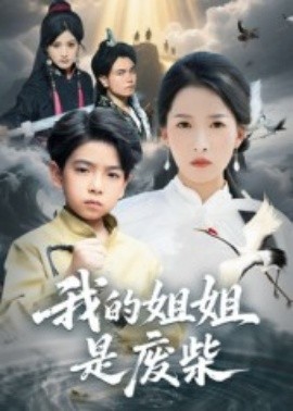 我的姐姐是废柴海报
