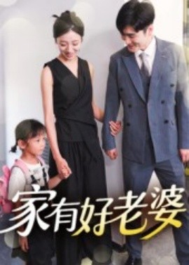 家有好老婆海报