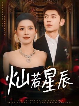 灿若星辰海报