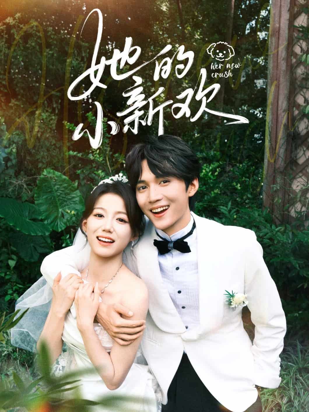 她的小新欢海报
