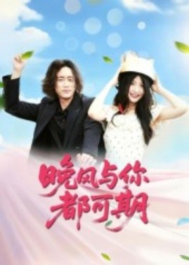 晚风与你都可期海报