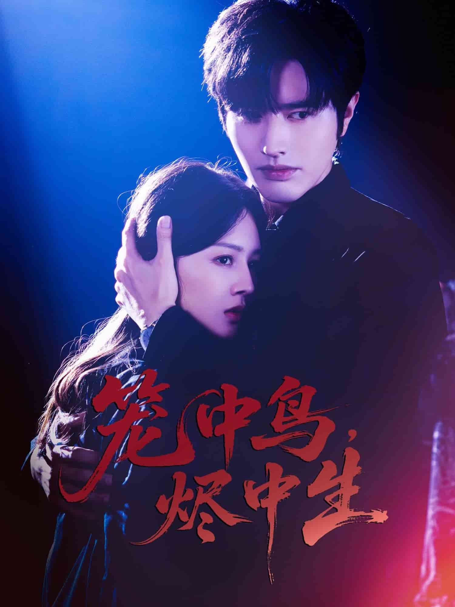 笼中鸟，烬中生海报