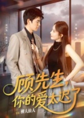 顾先生你的爱太迟了海报