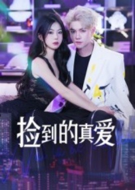 捡到的真爱海报