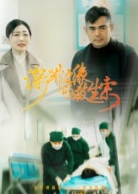 深渊边缘的救生索海报