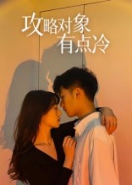攻略对象有点冷海报