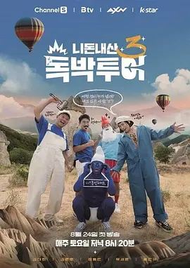 你钱我花 独担旅行海报