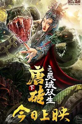 唐砖下之灵域双生海报
