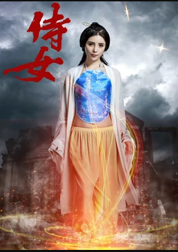 侍女海报