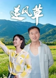 逆风草海报