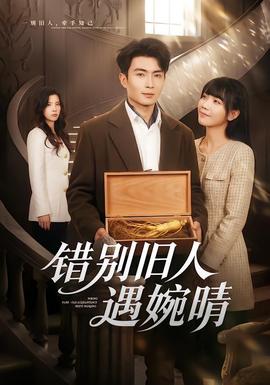 错别旧人遇婉晴海报