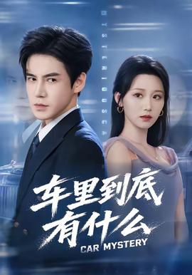 车里到底有什么海报