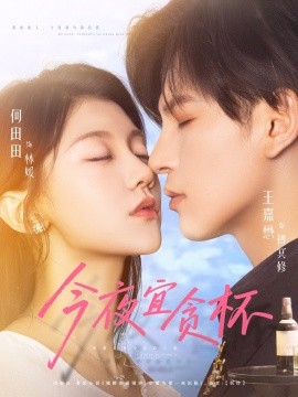 今夜宜贪杯海报