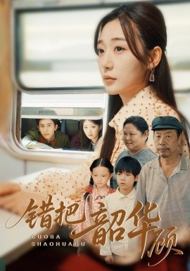 错把韶华顾海报