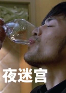 夜迷宫海报