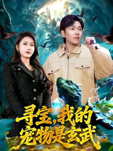 寻宝，我的宠物是玄武海报