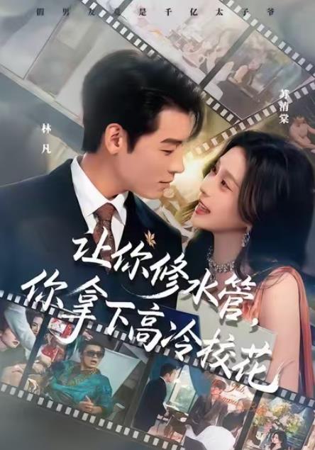 让你修水管，你拿下高冷校花海报