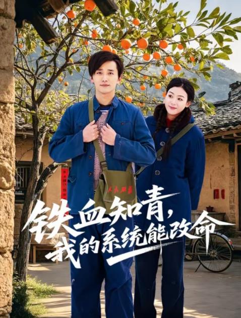 铁血知青，我的系统能改命海报