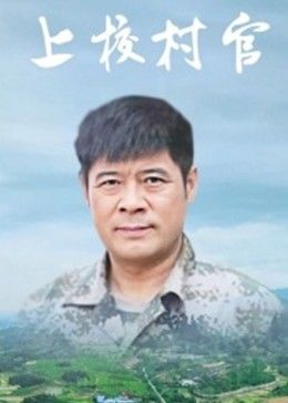 上校村官海报
