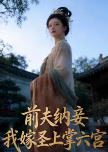 前夫纳妾，我嫁圣上掌六宫海报