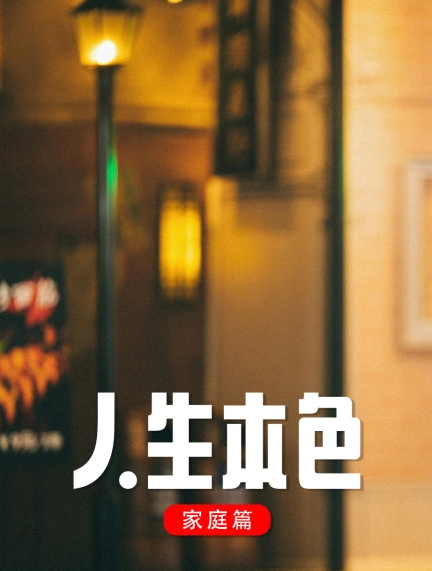 人生本色家庭篇海报