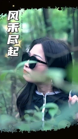 风禾尽起海报