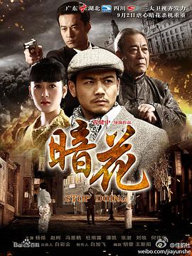 暗花[电视剧版]海报