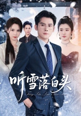听雪落白头海报