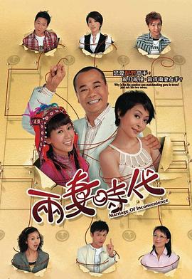 两妻时代海报