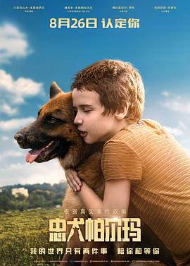 忠犬帕尔玛国语海报