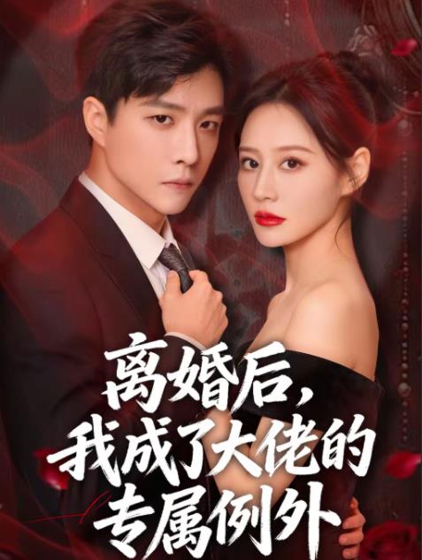 离婚后，我成了大佬的专属例外海报