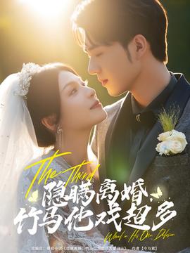 隐瞒离婚竹马他戏超多海报