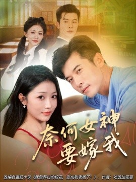 奈何女神要嫁我海报