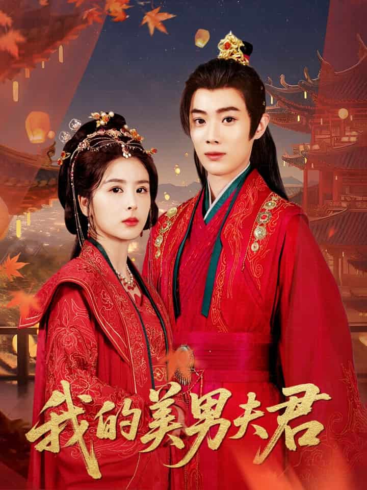 我的美男夫君海报