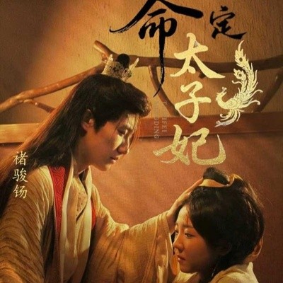 命定太子妃海报