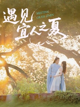 遇见宜人之夏海报