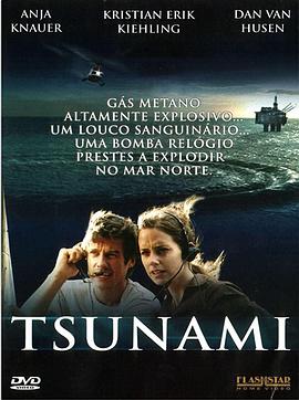 海啸2005海报