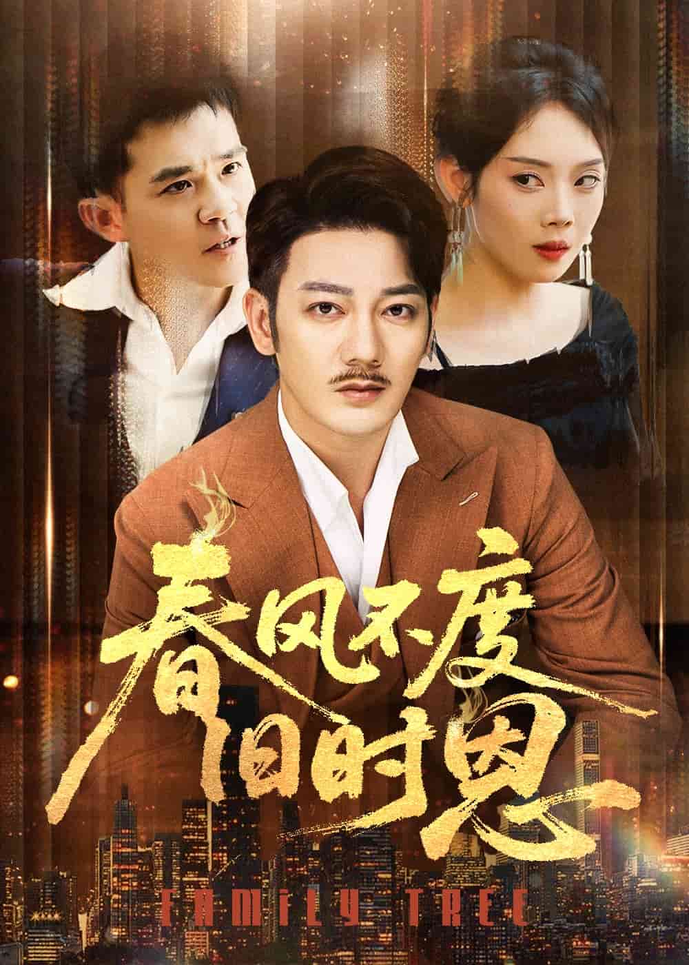 春风不度旧时恩海报