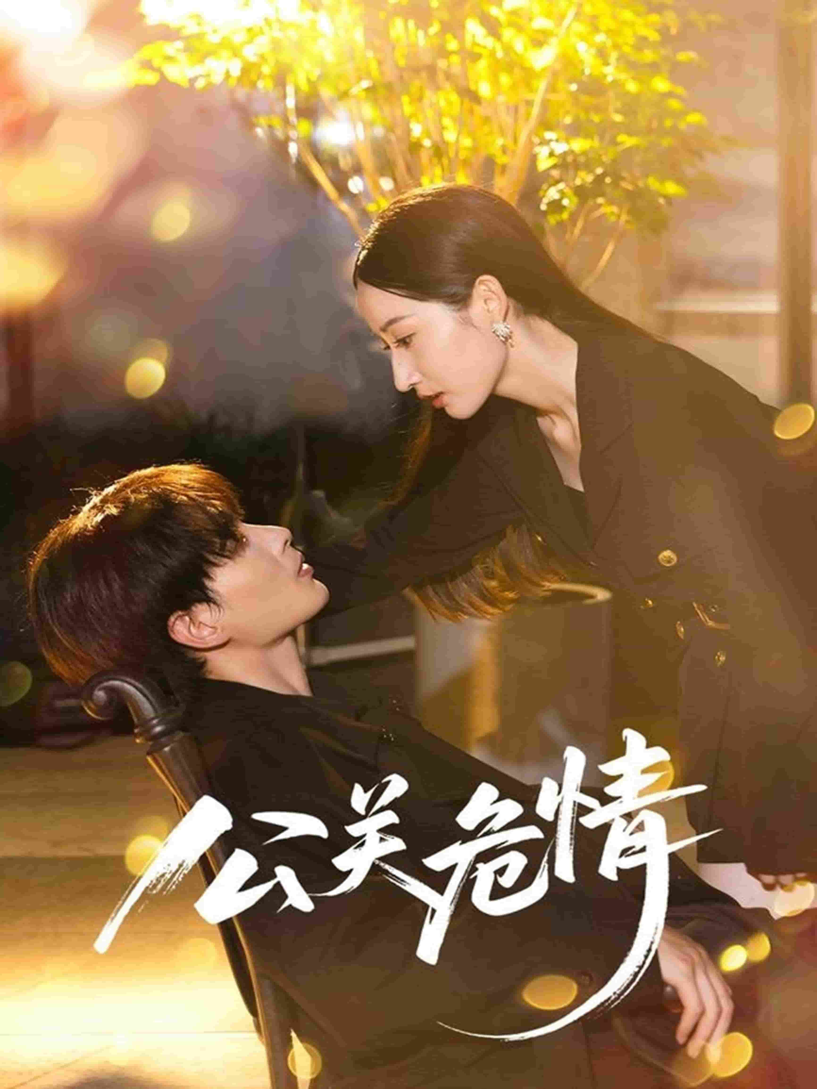 公关危情海报