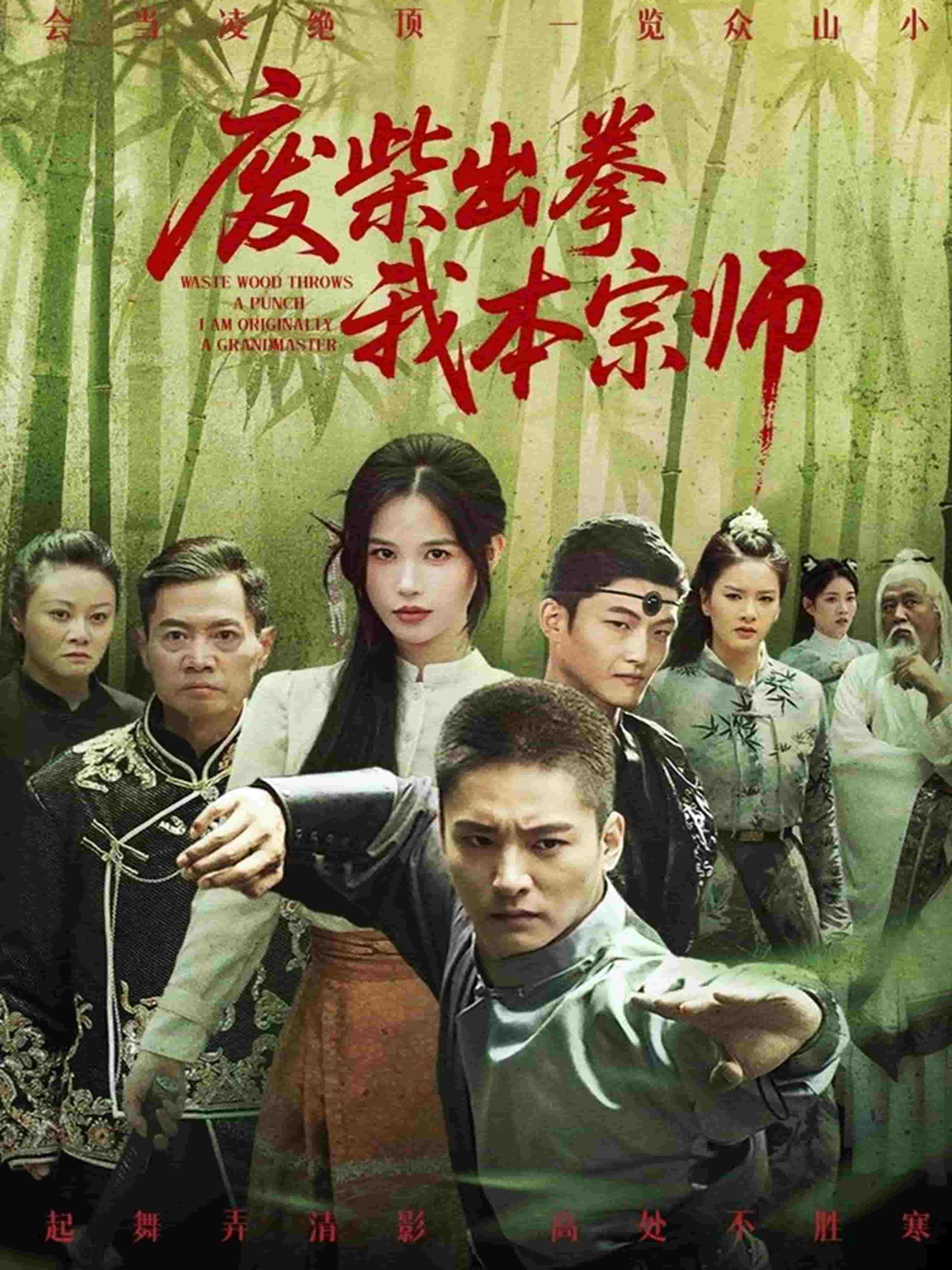 废柴出拳我本宗师海报