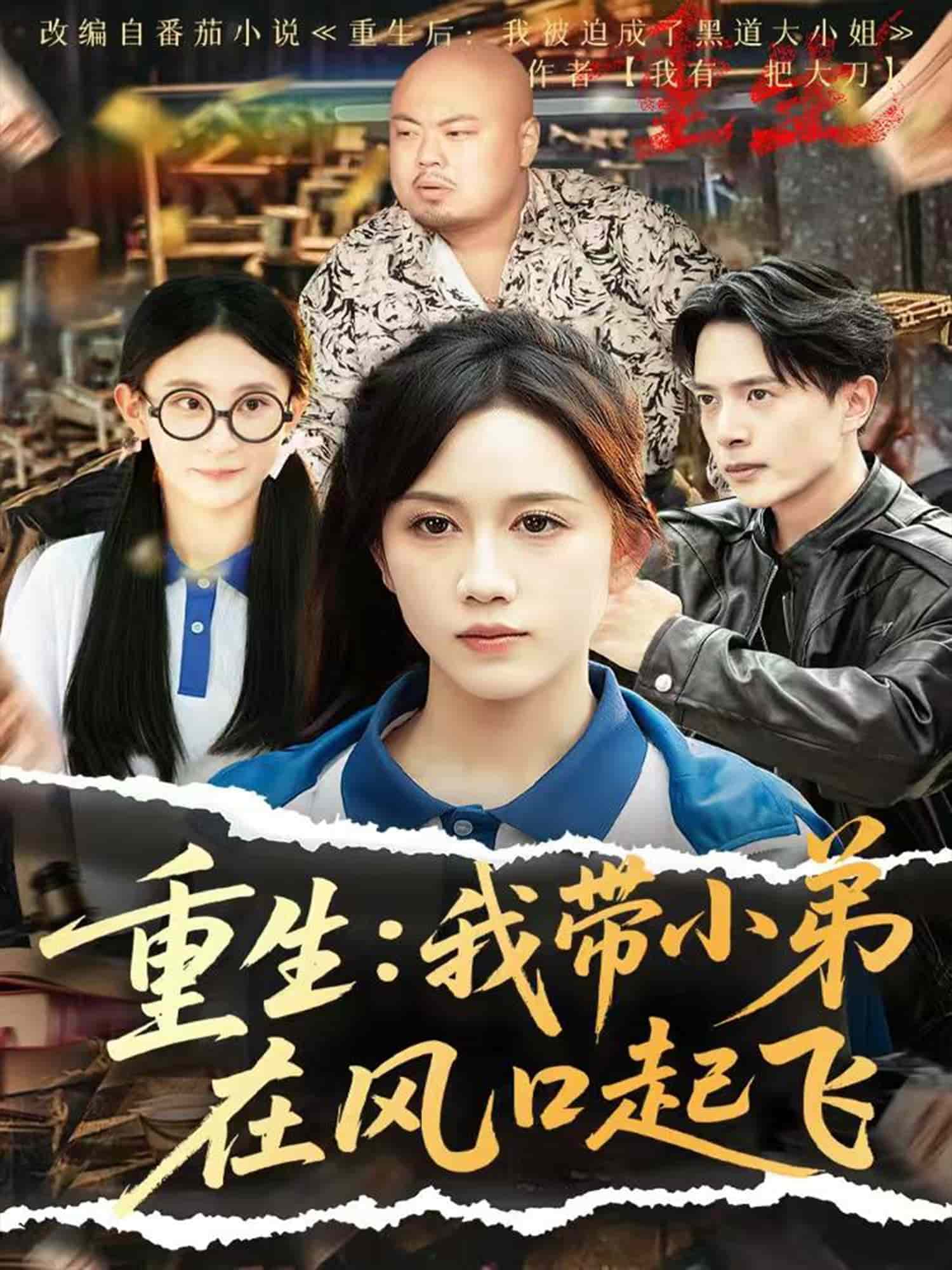 重生我带小弟在风口起飞海报