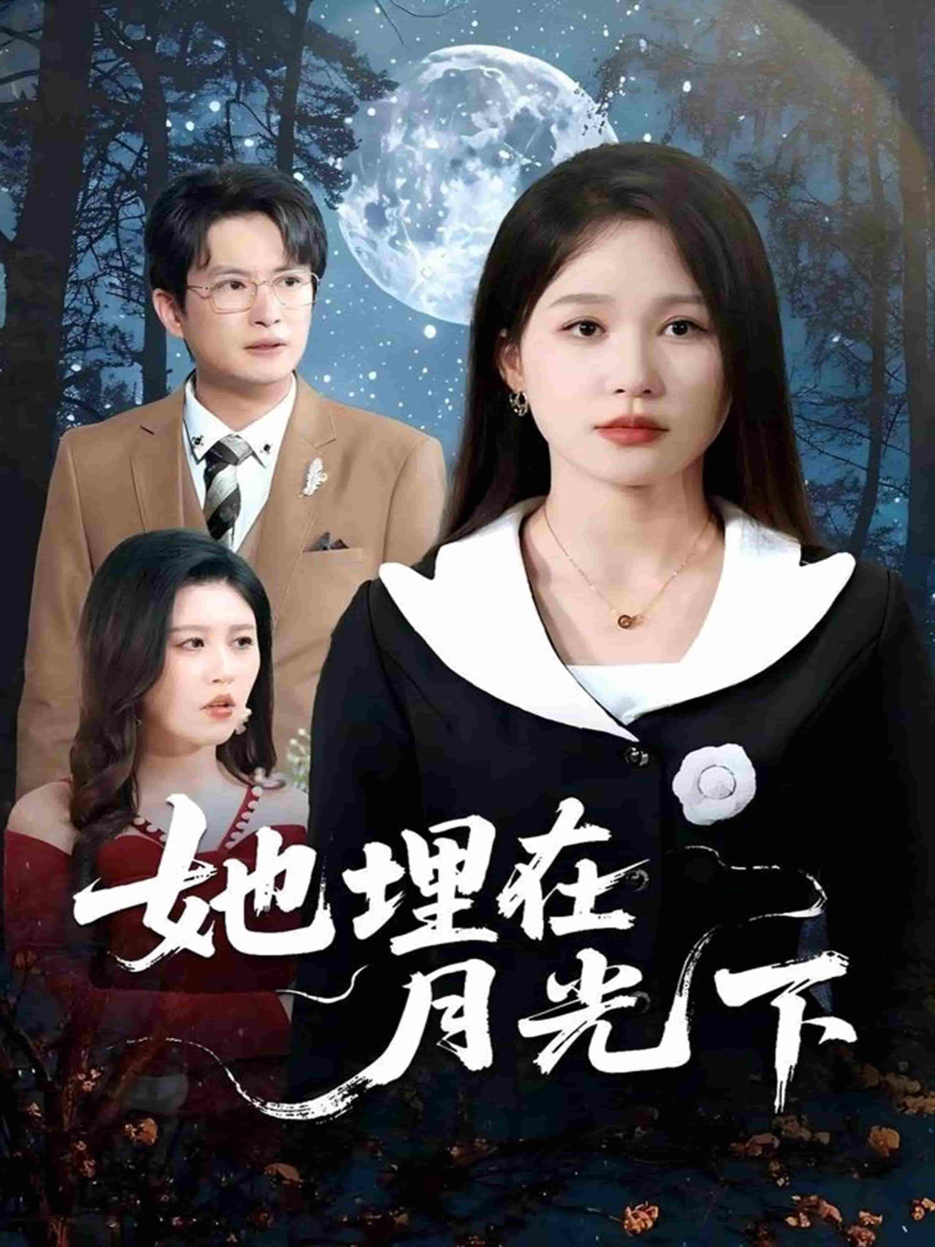 她埋在月光下海报